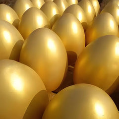 【$59】Golden Egg-- each egg worth more than $99