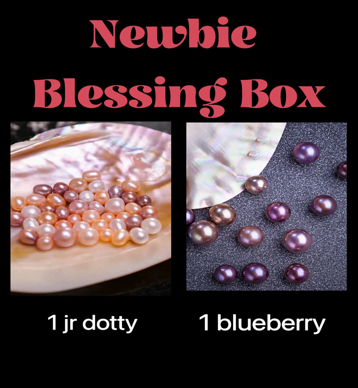 Newbie blessing box(Jr Dotty*1 +Blueberry*1+Gift*1)【Unipearl】